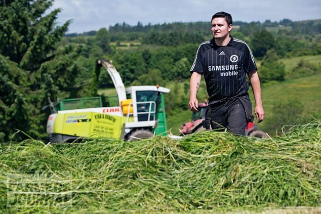 Lampard silage