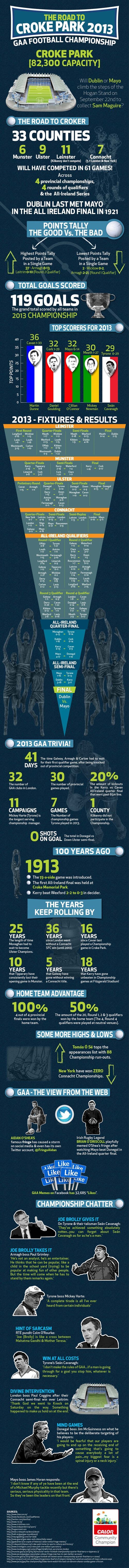 GAA Infographic 2013