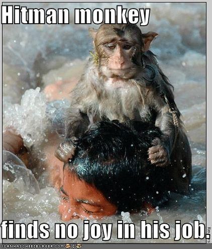 hitman monkey