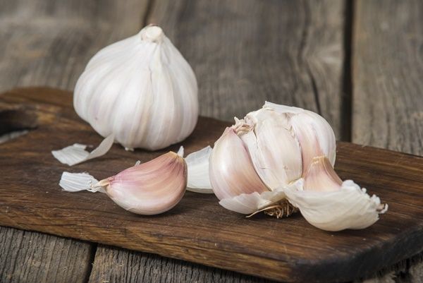 garlic generic