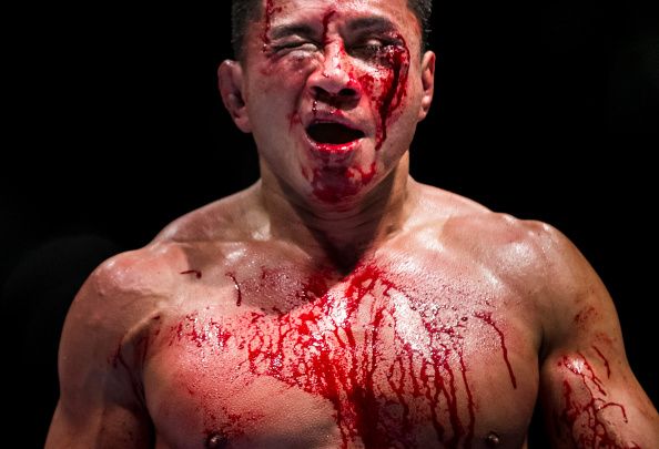 UFC Fight Night - Bisping v Le