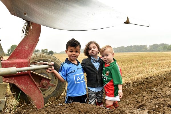 ploughing champs 1