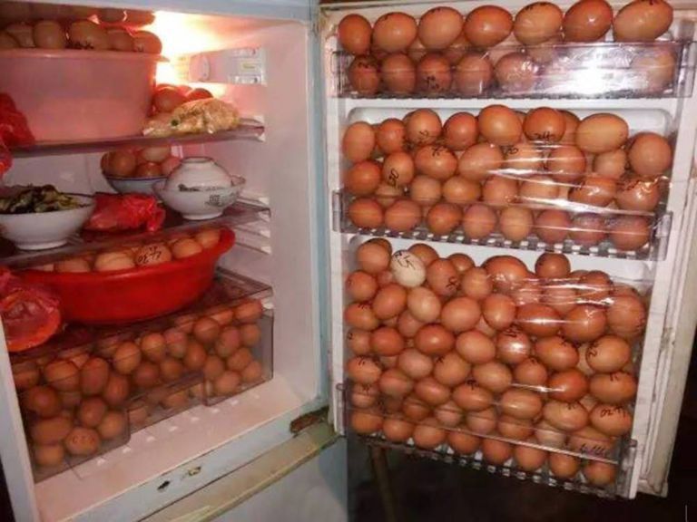 Pic shows: Police found over 1,000 eggs inside the fridge of a security guard who admitted stealing from his workplace for over a year.nnA factory security guard who admitted stealing from his workplace for over a year told cops he liked eggs after they found his fridge packed with thousands of them which he had pilfered.nnThe 47-year-old bachelor who has been identified by his surname Gu, was spotted by police trying to smuggle two suitcases out of the factory on the back of his motorbike in Pinghu City in east China¿s Zhejiang Province.nnWhen they questioned him he admitted trying to steal them and when officers searched his home they found over 1,000 eggs inside his fridge.nnAnd each one had been dated so he knew when to eat them.nnPolice also found three drawers of meat from the factory as well as hundreds of bars of soap, boxes of tissues and bottles of detergent and other cleaning products.nnThe security guard who earns the equivalent of just 200 GBP a month told police he had taken the goods because his "trusted position" at the factory meant he was above suspicion and that he liked eggs.nnA police spokesman said he had been stealing the goods for 14 months.nnOne stunned worker at the factory said: "I can¿t believe it.nn"For months the bosses have been accusing us of taking the stuff and it turns out it was the security guard.nn"I hope they will now apologise for thinking it was us."nnA spokesman for the factory said: "We are as surprised as everyone else that it was the security guard.nn"We thought he was a hard working and dutiful guard who enjoyed woking nightshifts because he didn¿t have a family to go home to.nn"Now we found he did it so he could roam around and take pinch without anyone seeing him."nnThe man is now facing three years jail.nn(ends)n
