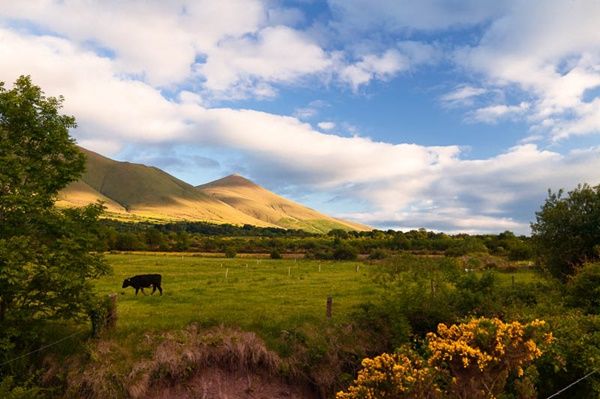 Midlands of Ireland: Tipperary: Glen of Aherlow: Galtee Mountains.  A photograph the Lyracappul in the Galtee Mountains taken from the Glen of Aherlow.