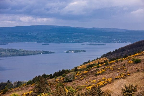 West of Ireland: Tipperary: Lough Derg. A view of Lough Derg from Tountinna mountain.  The image was taken in late spring, when the gorse is at its most vibrant. The border between Tipperary and Clare runs through Lough Derg.  In the distance is Cappaghabaun mountain.