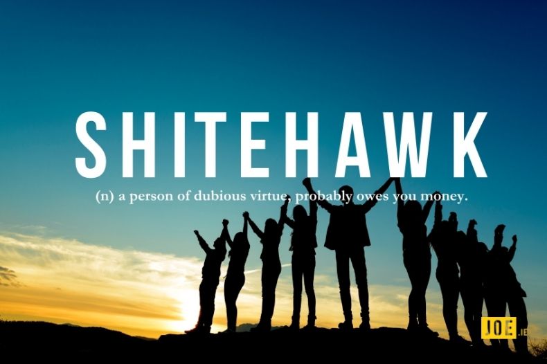 Shitehawk TOA4