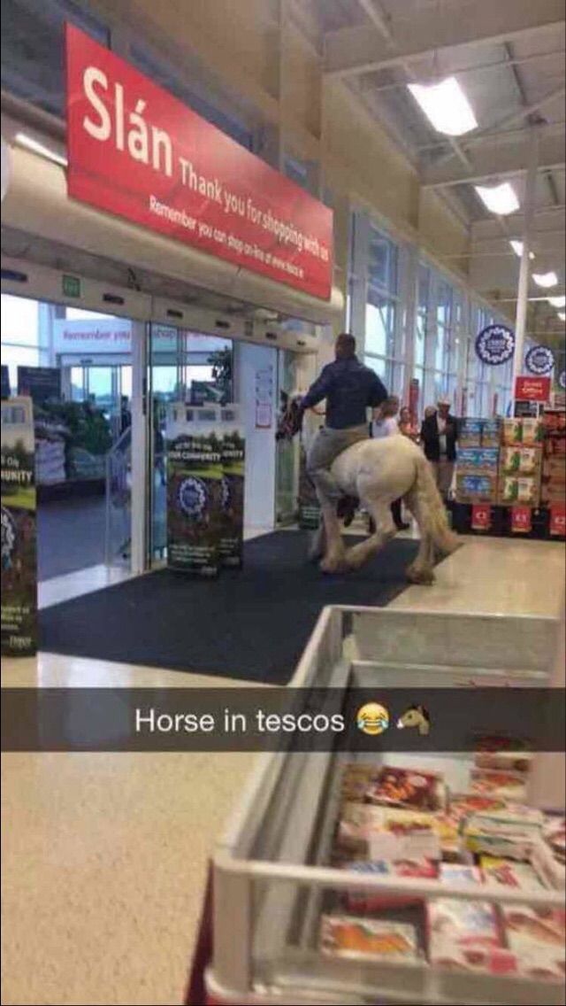 horse in tesco