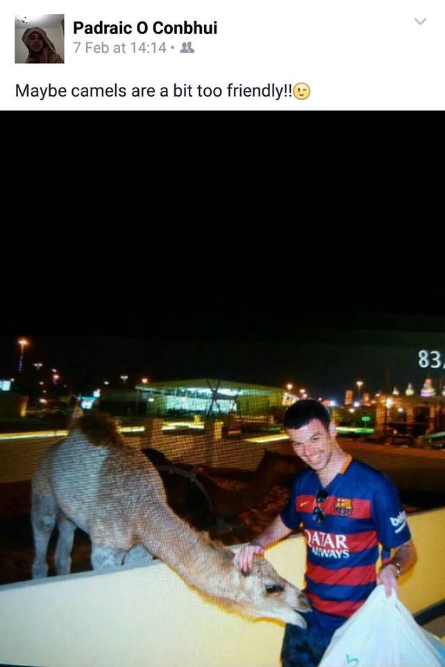 Dubai camel photo