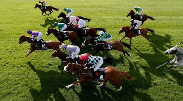 REPRO FREE***PRESS RELEASE NO REPRODUCTION FEE*** Longines Irish Champions Weekend, Leopardstown, Dublin 12/9/2015 The Irish Stallion Farms European Breeders Fund 'Petingo' Handicap A view of the field in the third race of the day Mandatory Credit ©INPHO/Donall Farmer