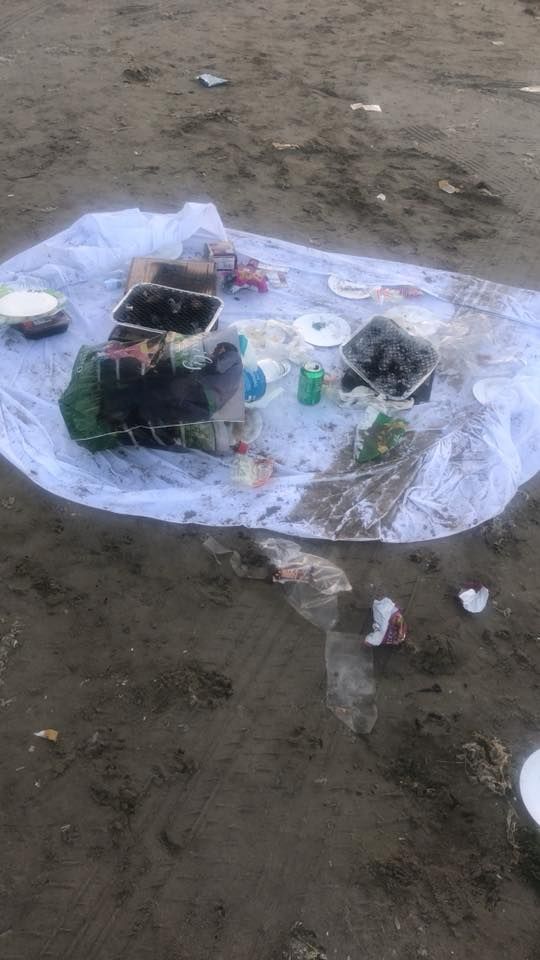 Laytown Strand beach litter