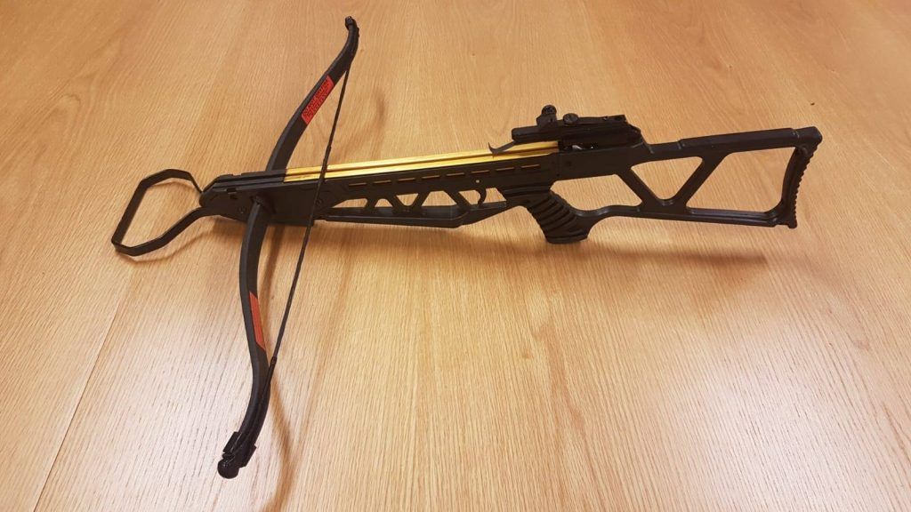 Shotguns crossbow cannabis Garda Dublin raid February 2019